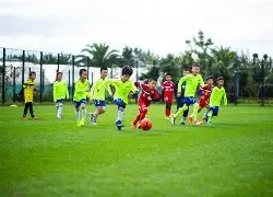 周四,世预赛,丹麦对北马,万博足球,足球赛事数据,足球比赛资讯,足球赛事信息,足球赛事平台