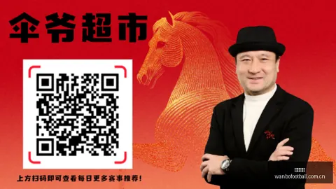 巴西乙联赛前瞻塞阿拉雷加塔斯足球赛事信息：13场不败对决前瞻